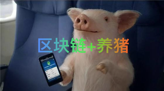 豬價暴漲非最大難題，區(qū)塊鏈賦能巧破行業(yè)隱患